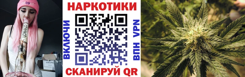Где купить наркотики Шарья ГАШИШ  ГЕРОИН  АМФ  Марихуана  Меф мяу мяу  Alpha-PVP 