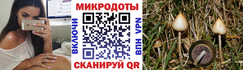 blacksprut маркетплейс  Шарья  Галлюциногенные грибы Cubensis 